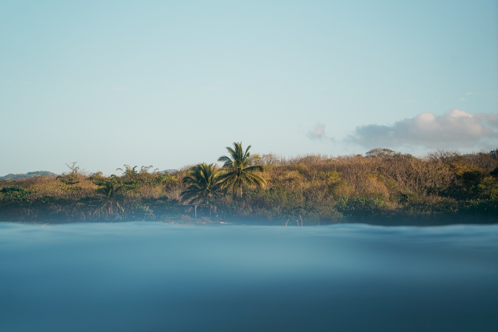 Glassy water below the jungle canopy at dawn in Nosara